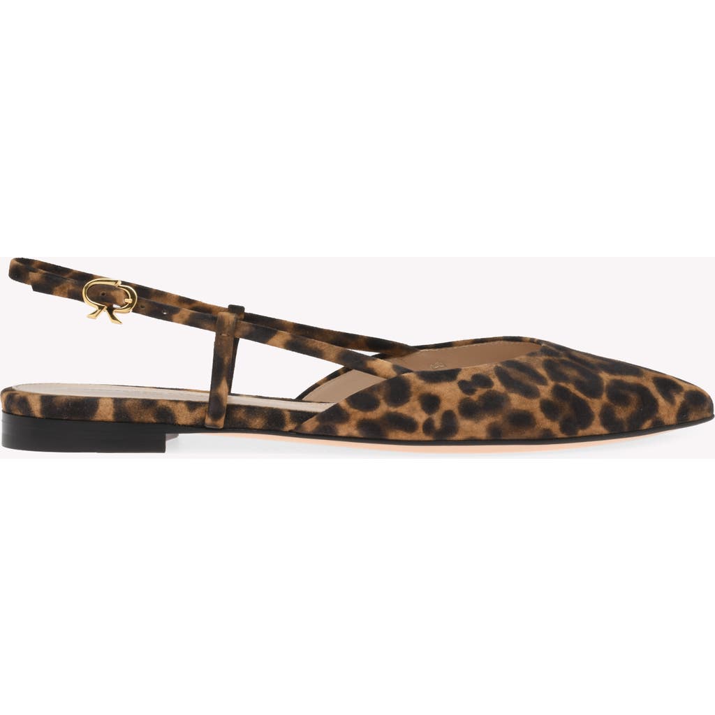 Shop Gianvito Rossi Ascent 05 Slingback In Brown