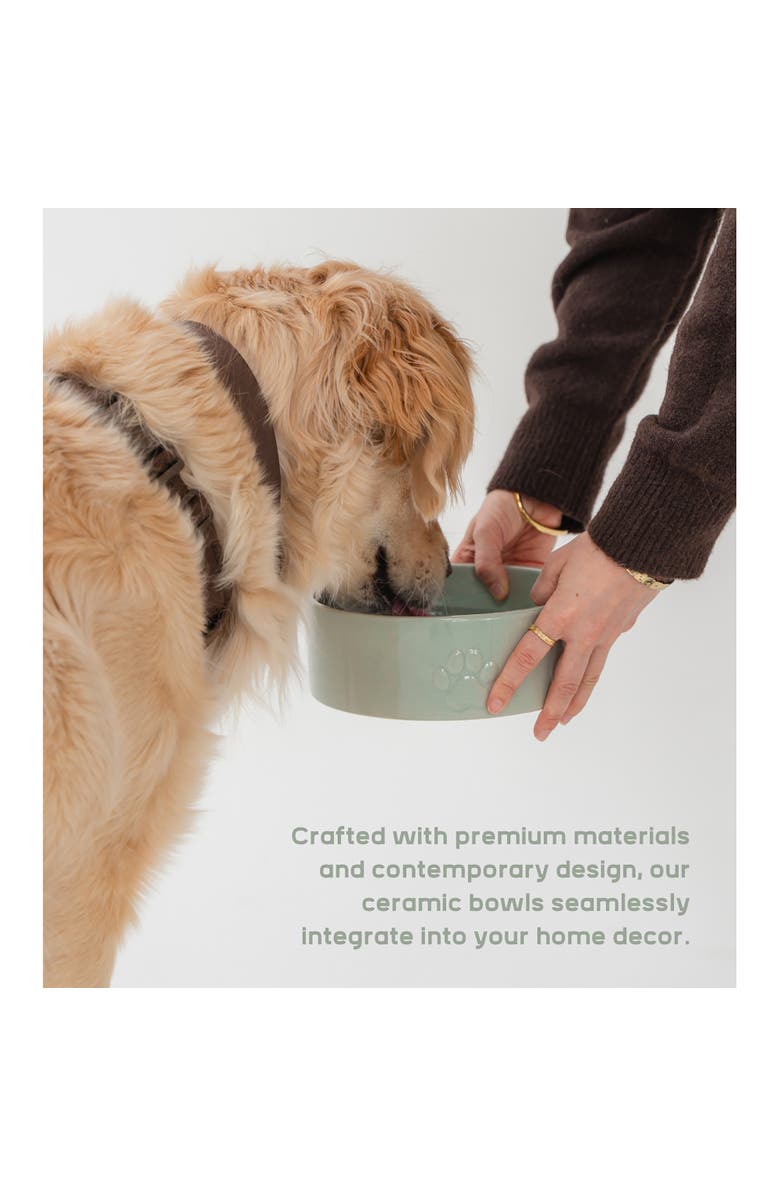 Dexypaws Ceramic Dog Bowl Sage Green 26oz, Alternate, color, Green
