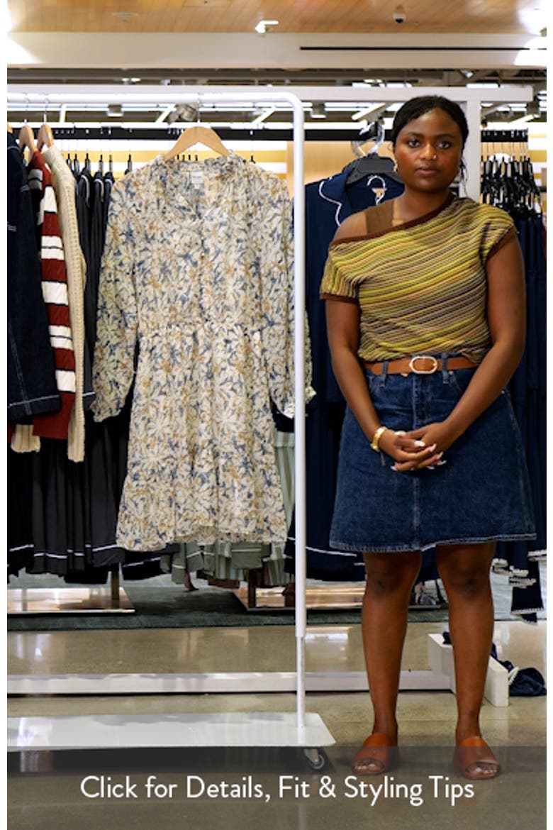 Bloomsbury Long Sleeve Chiffon Dress video