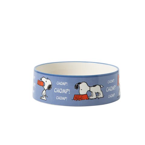 Peanuts Barks & Borough 8-inch Ceramic Pet Bowl