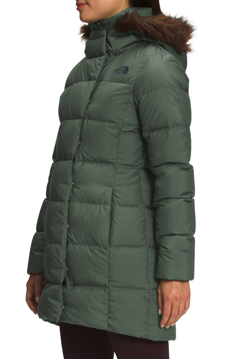 The North Face New Dealio Water Repellent 550 Fill Power Down Parka, Alternate, color, 