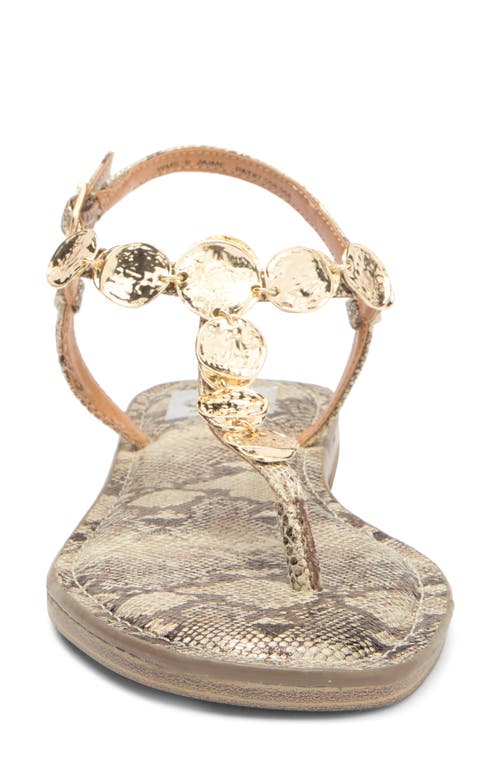 Dolce Vita Dv By Jaime T-strap Sandal In Jaime Exotic