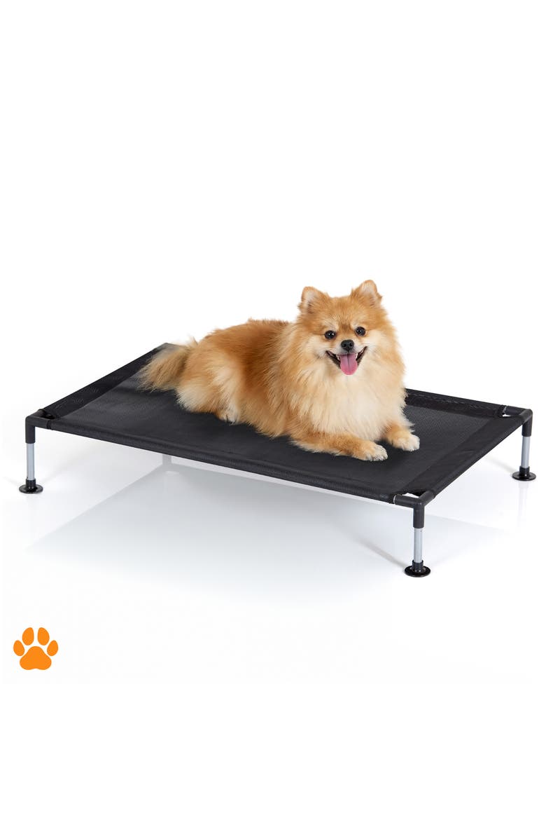 Pet Bed, 23.5 Inches x 18 Inches, Alternate, color, Black