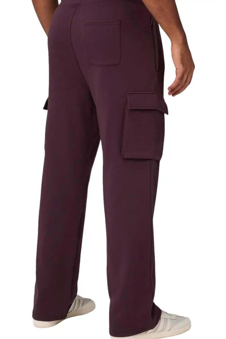 The Go-To Straight Leg Cargo Pant, Alternate, color, Oxblood