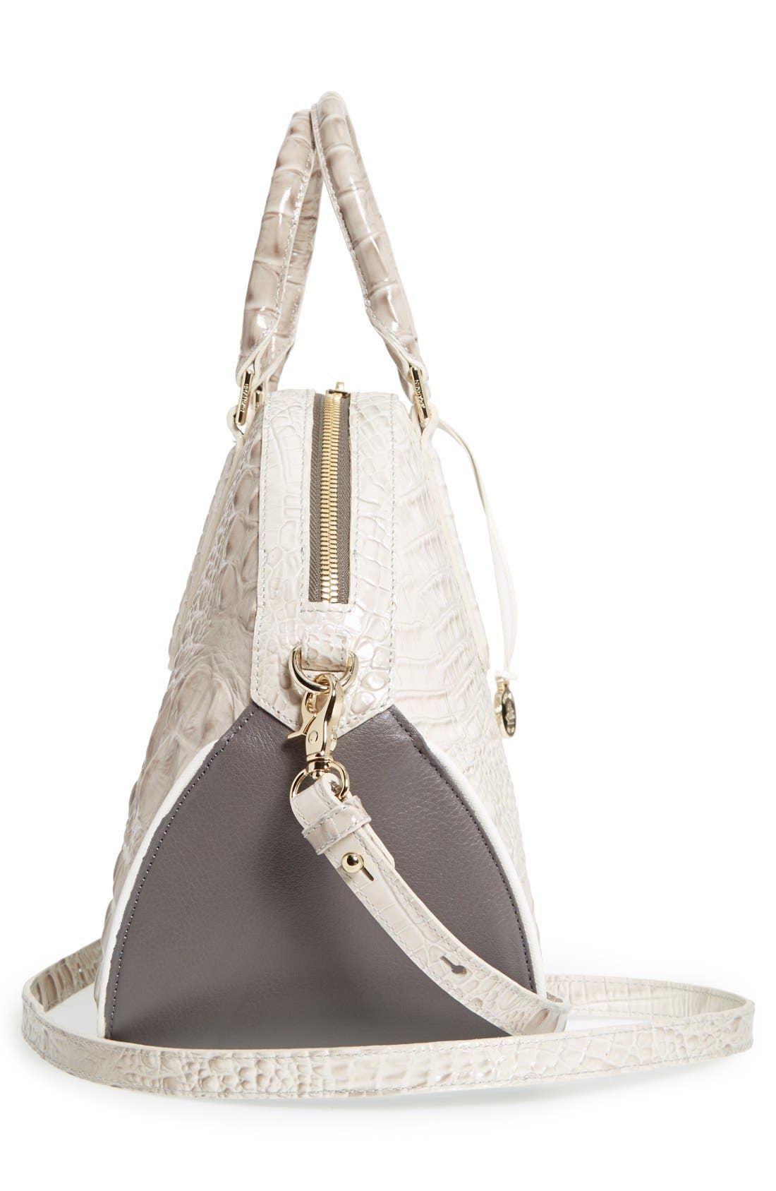 Brahmin , Alternate, color, 