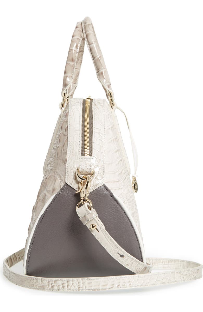 Brahmin , Alternate, color,