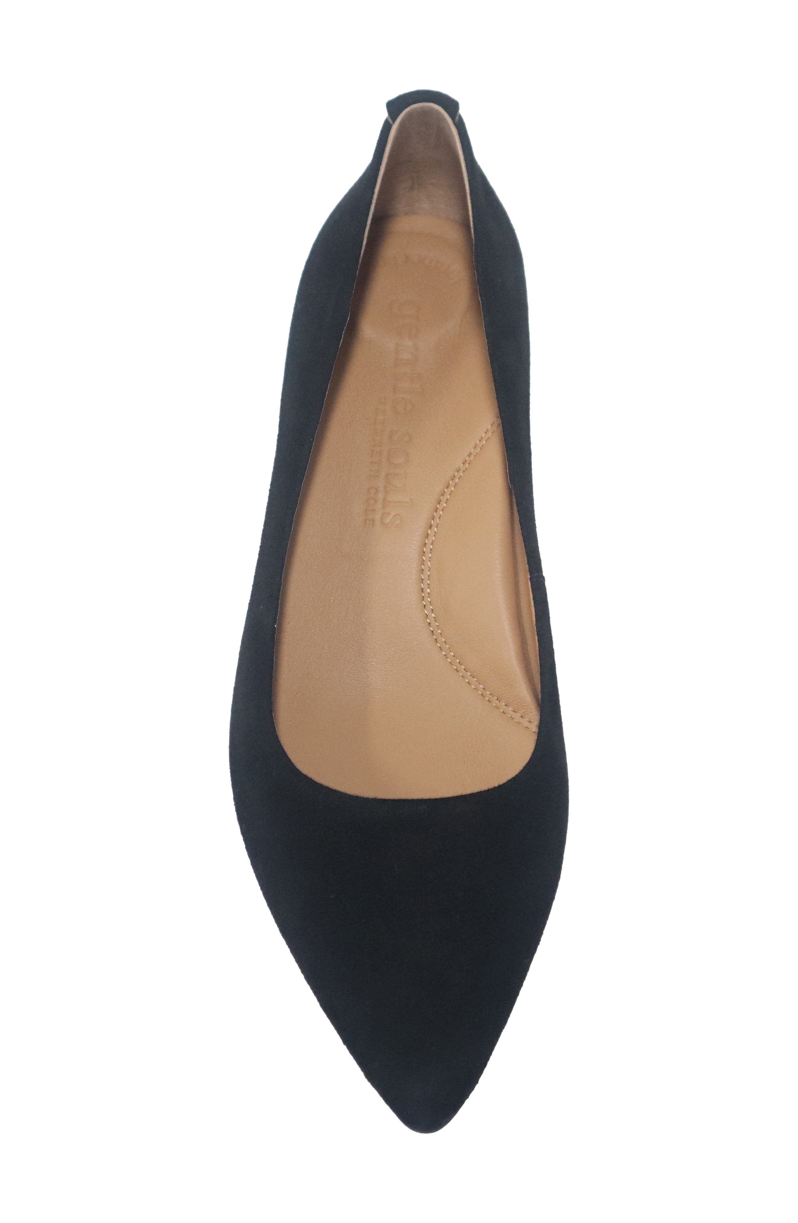 Gardena Pointed Toe Pump, Alternate, color, BLACK SUEDE