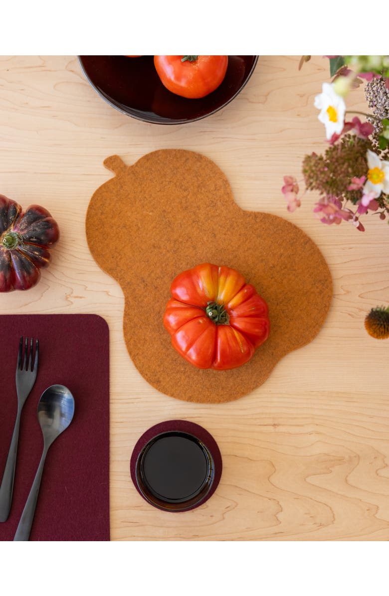 Graf Lantz Merino Wool Pumkin Trivet, Alternate, color, Miso