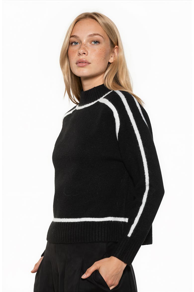 Richie Turtleneck Sweater, Alternate, color, BLACK