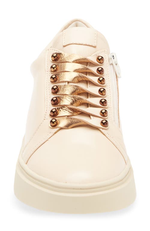 Chocolat Blu Vega Sneaker In White