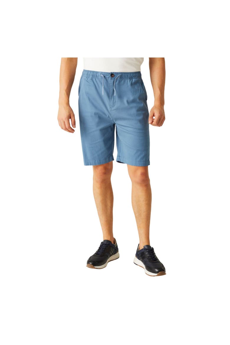 Aldan Chino Shorts, Alternate, color, Coronet Blue