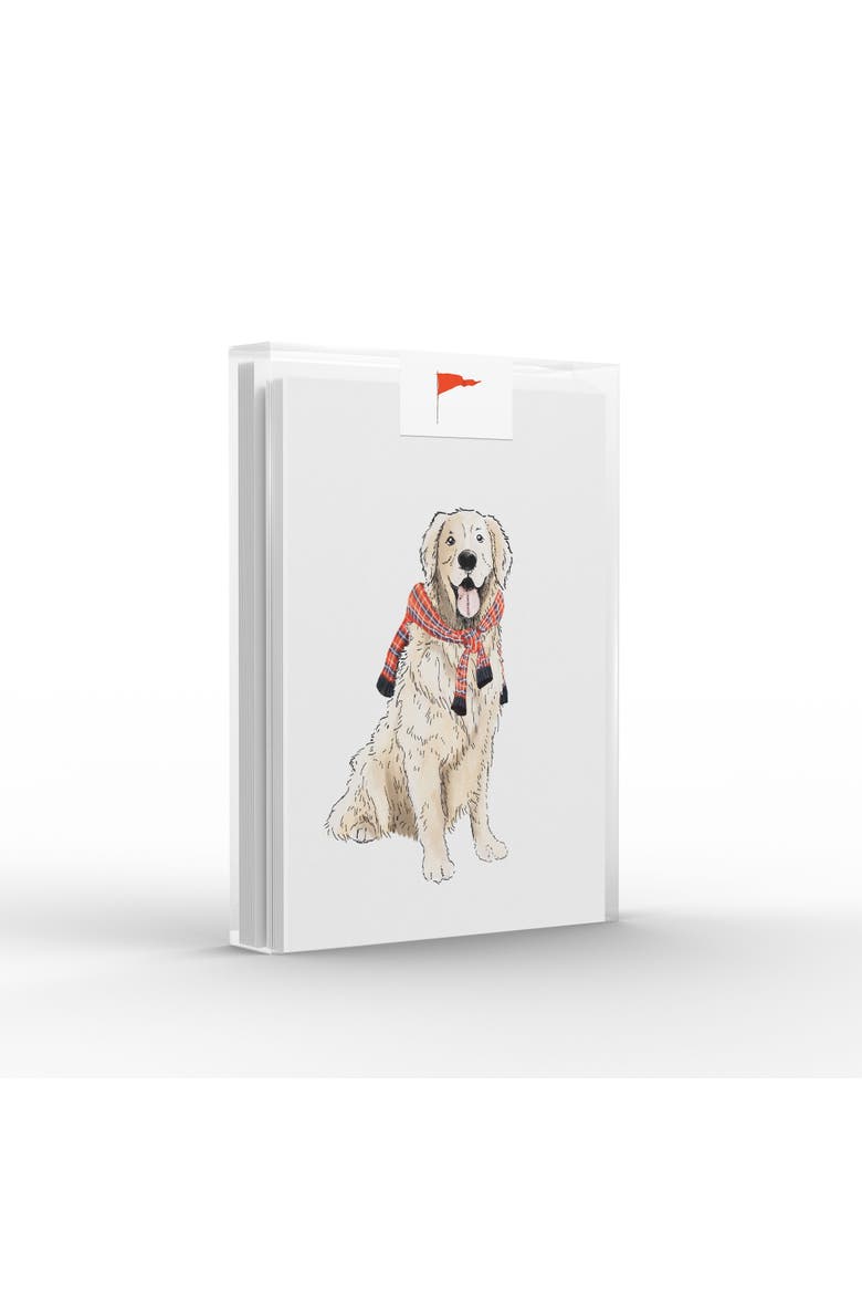 Preppy Retriever Greeting Card Pack Set, Main, color, Multi-Pack