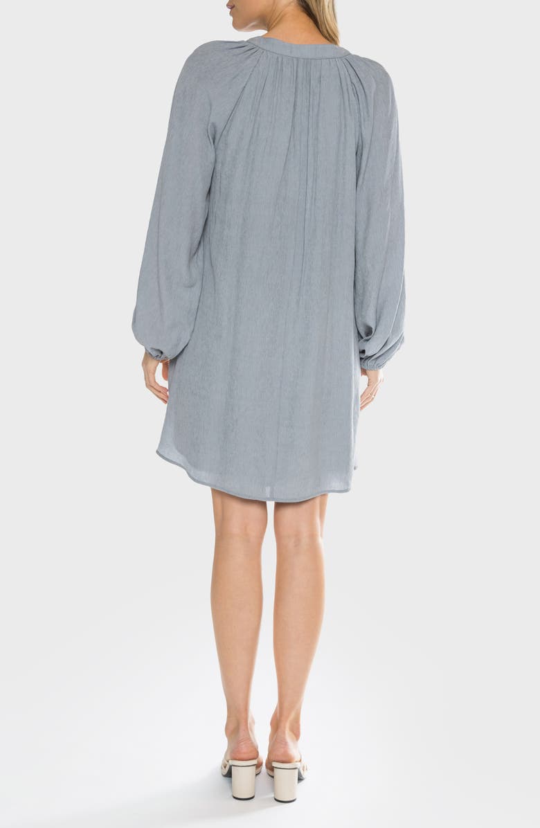 matty m. Lucy Long Sleeve Tunic Dress, Alternate, color, Dusty Blue