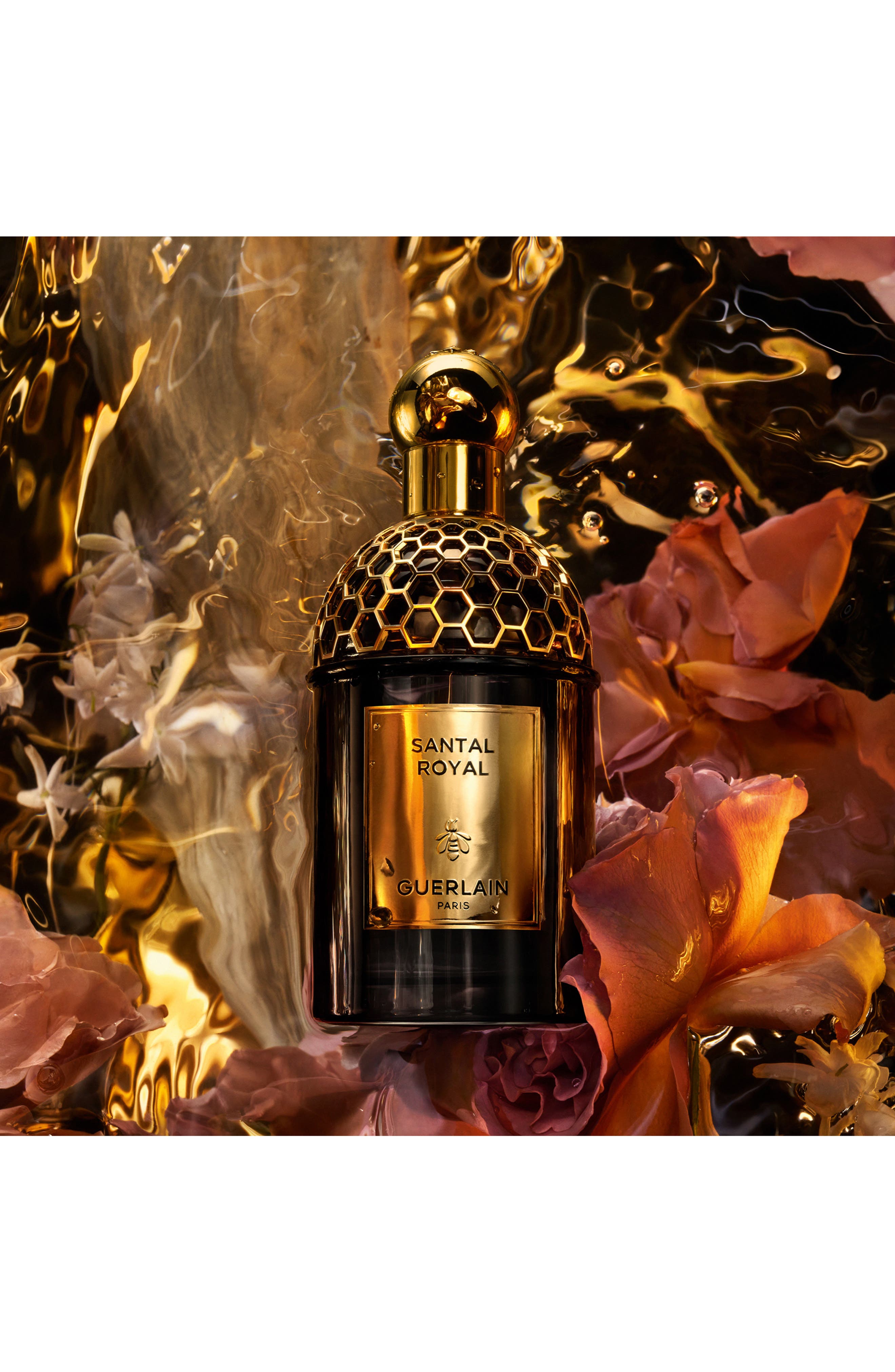 Absolus Allegoria Santal Royal Eau de Parfum (Women) | Nordstrom