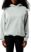 PacSun Core Fleece Hoodie