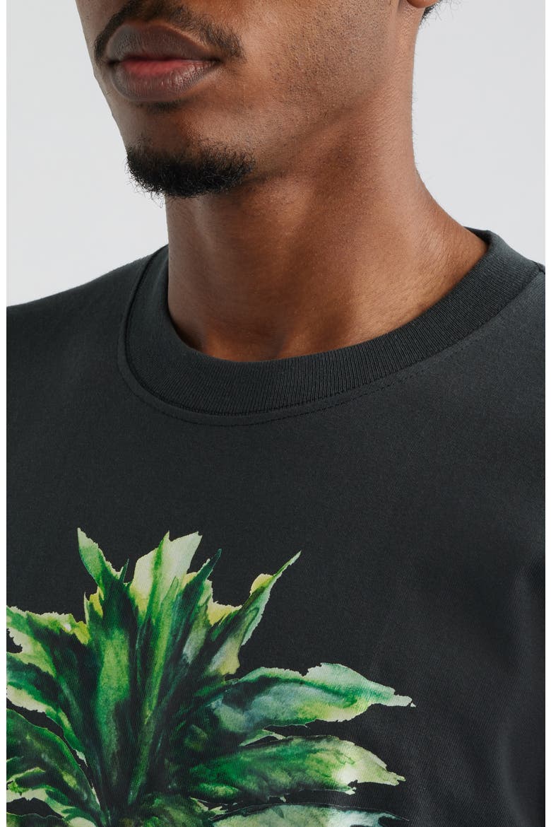 Palm Graphic T-Shirt, Alternate, color, VINTAGE BLACK