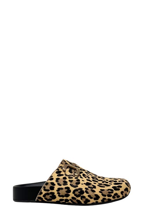 Shushop Azalea Mule In Animal Print