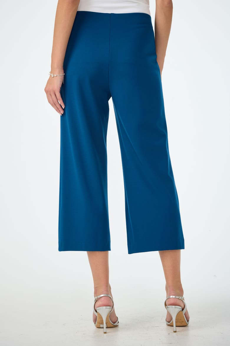 Santo Ponte Cropped Wide Leg Pant, Alternate, color, Burle Blue