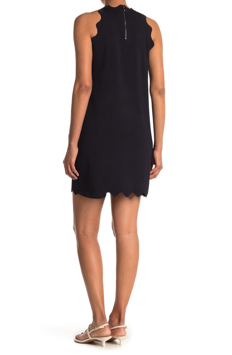 Ted Baker London Rickrack Trim Knit Shift Dress, Alternate, color, 