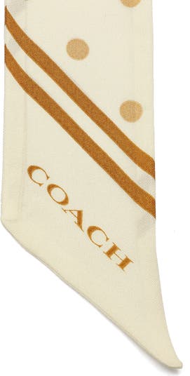 Polka Dot Silk Skinny Scarf