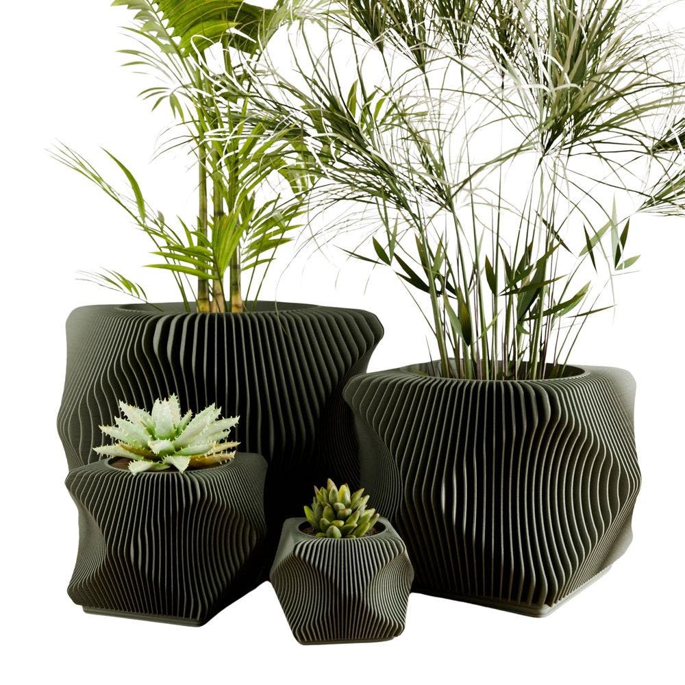 Forest Green
