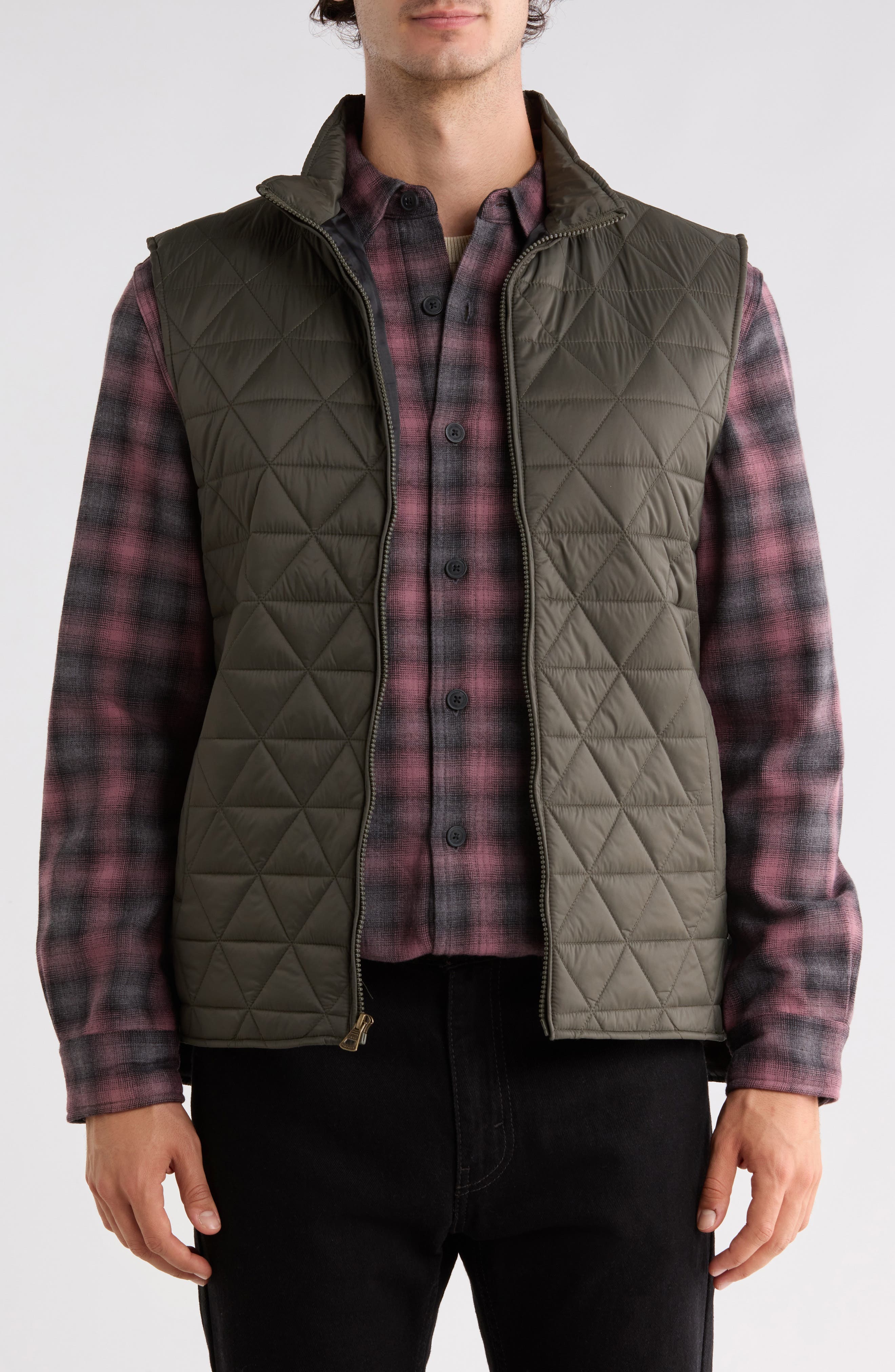 FOREST NIGHT OLIVE