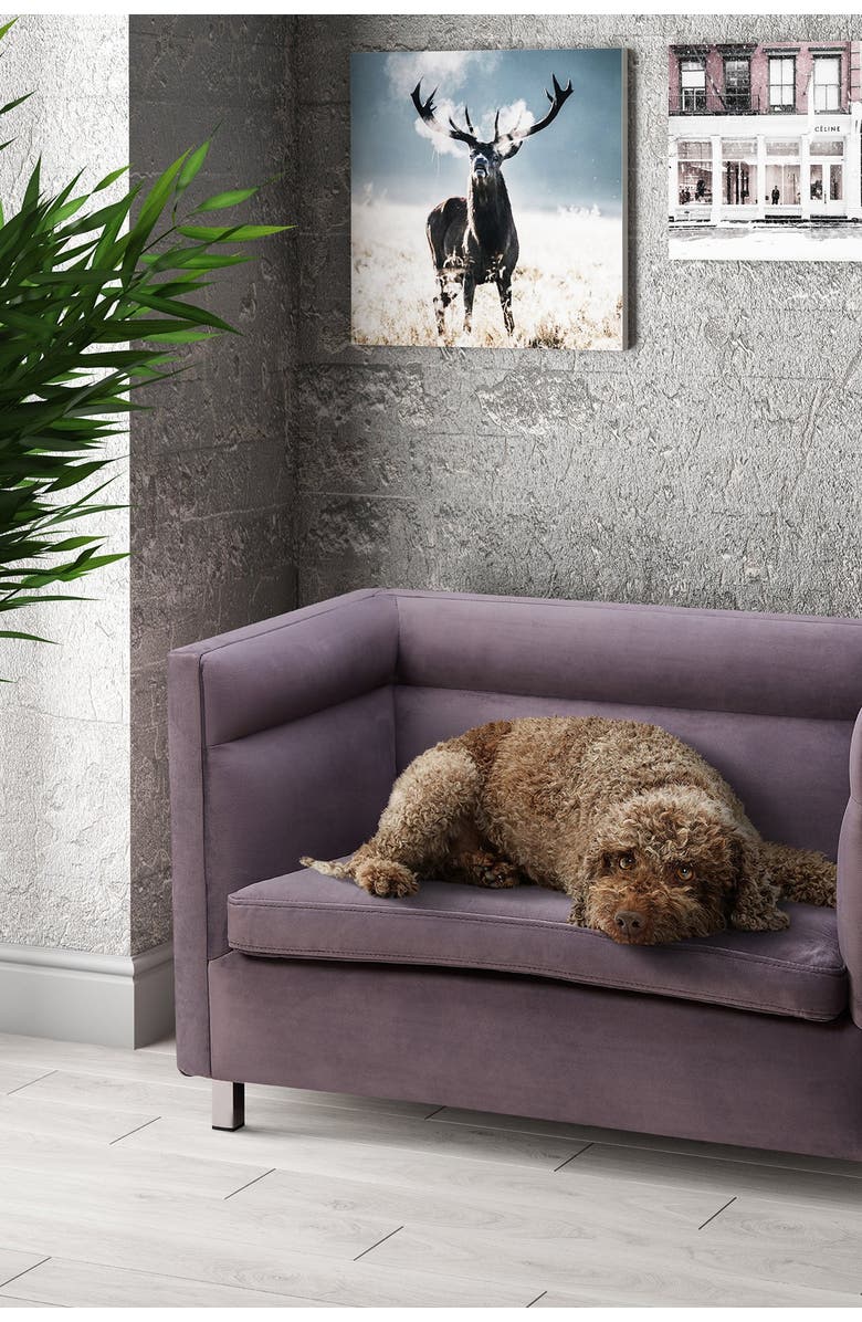 TOV FURNITURE Beagle Grey Pet Bed, Alternate, color, 