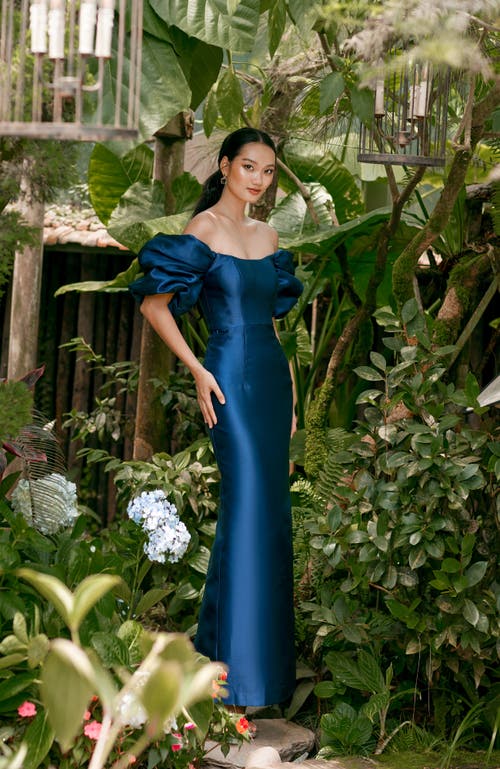 Bariano Meredith Puff Sleeves Scooped Gown In Blue