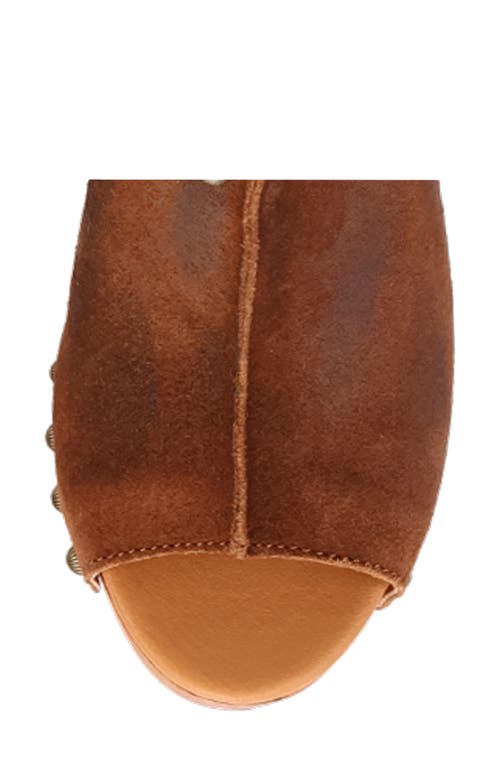 Dingo Echo Clog