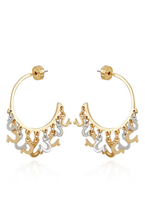 Horseshoe Drop Hoop Earrings