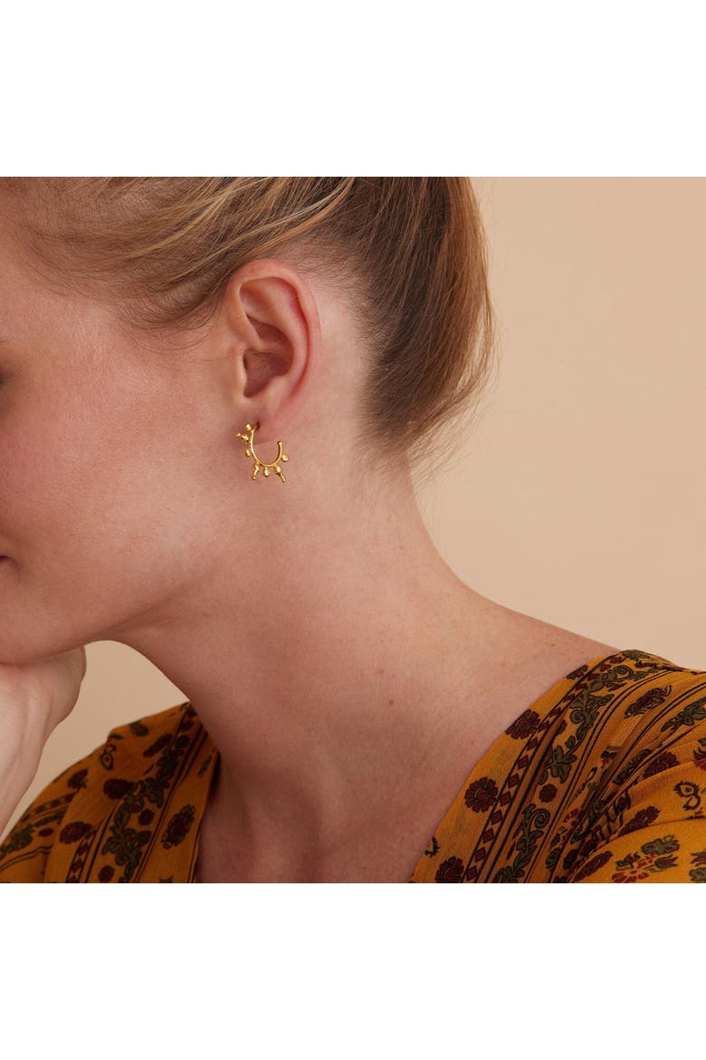 Jale Hoop Earrings, Alternate, color, Brass
