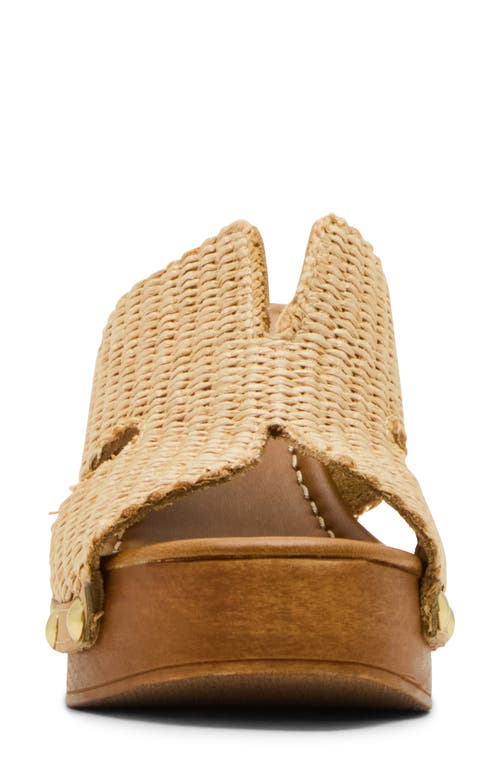 Steve Madden Sunkissed Clog In Brown