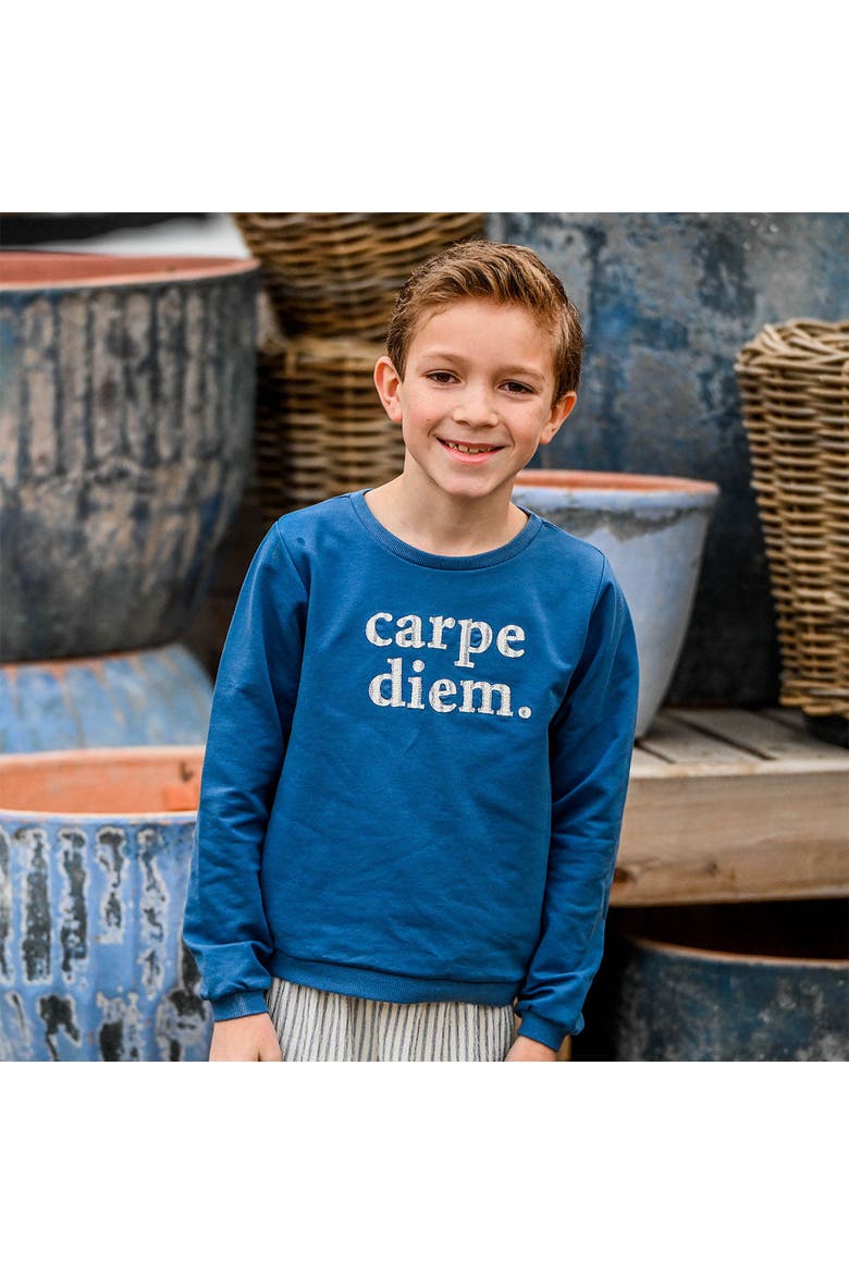 Carpe Diem Brooklyn Boxy Sweatshirt, Alternate, color, French Blue