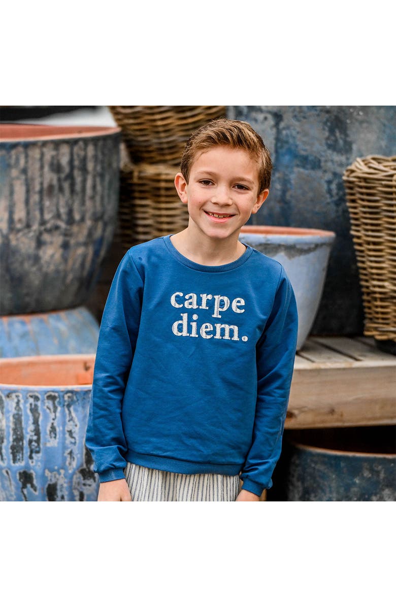 oh baby! Carpe Diem Brooklyn Boxy Sweatshirt, Alternate, color, French Blue