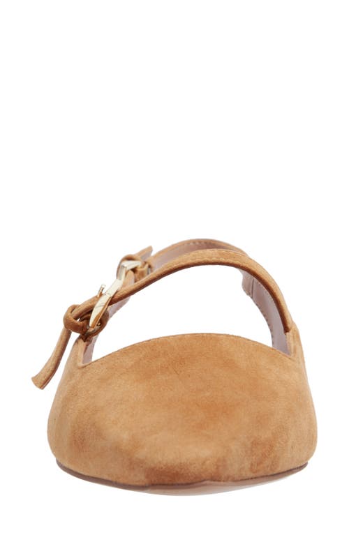 Linea Paolo Celeste Slingback Pointed Toe Flat In Brown