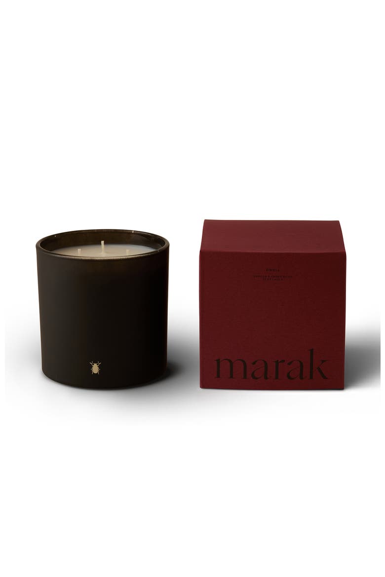 Dwell - Vanilla & Amber Wood - 3-Wick 23 Oz / 652 G, Main, color, Standard Packaging