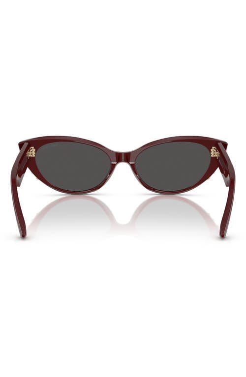 Jimmy Choo 55mm Cat Eye Sunglasses In Red