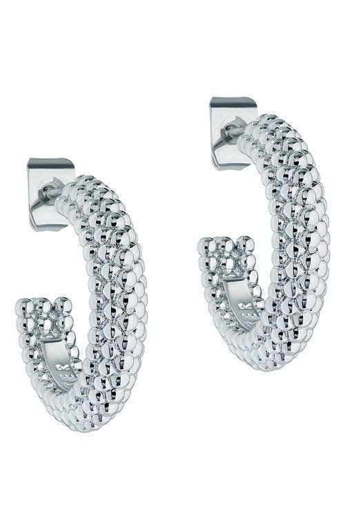 Ted Baker Dotetta Hoop Earrings In Silver Tone