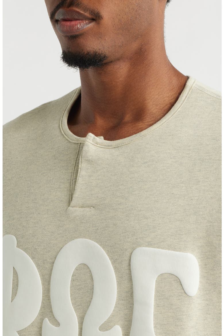 Appliqué Henley Sweatshirt, Alternate, color, WASHED VANILLA HEATHER