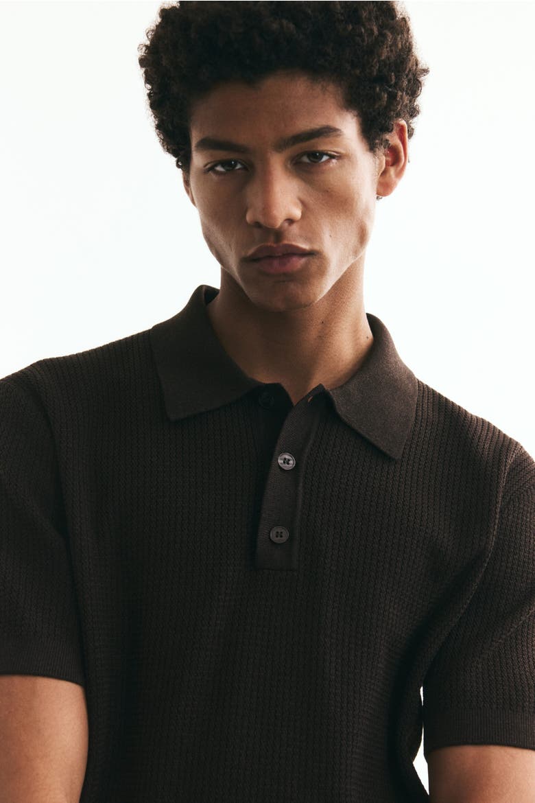 Regular-fit Knit Polo Shirt, Alternate, color, Dark brown