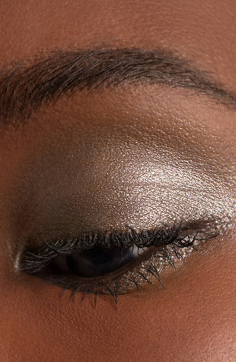 Chantecaille Luminescent Eye Shades, Alternate, color, Rhinoceros