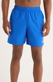 Nike 7-Inch Volley Swim Trunks