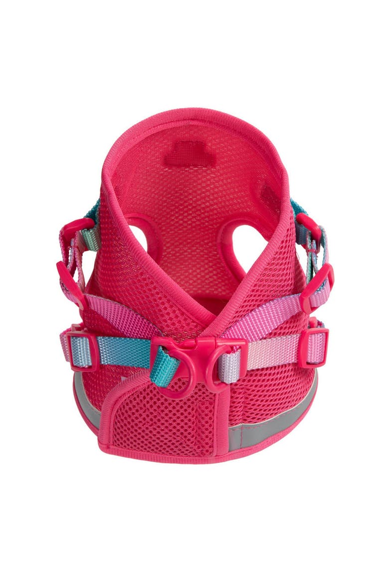 Stasia Cat Harness and Leash Set, Alternate, color, Stasia
