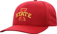 TOP OF THE WORLD Men's Top of the World Cardinal Iowa State Cyclones Reflex Logo Flex Hat