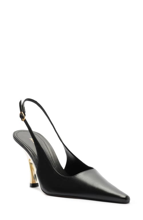 Arezzo Roxy Slingback Pointed Toe Pump In Black