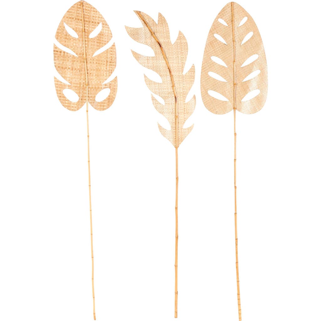 Sonoma Sage Home 3-piece Natural Dried Bamboo Leaf Foliage In Light Brown