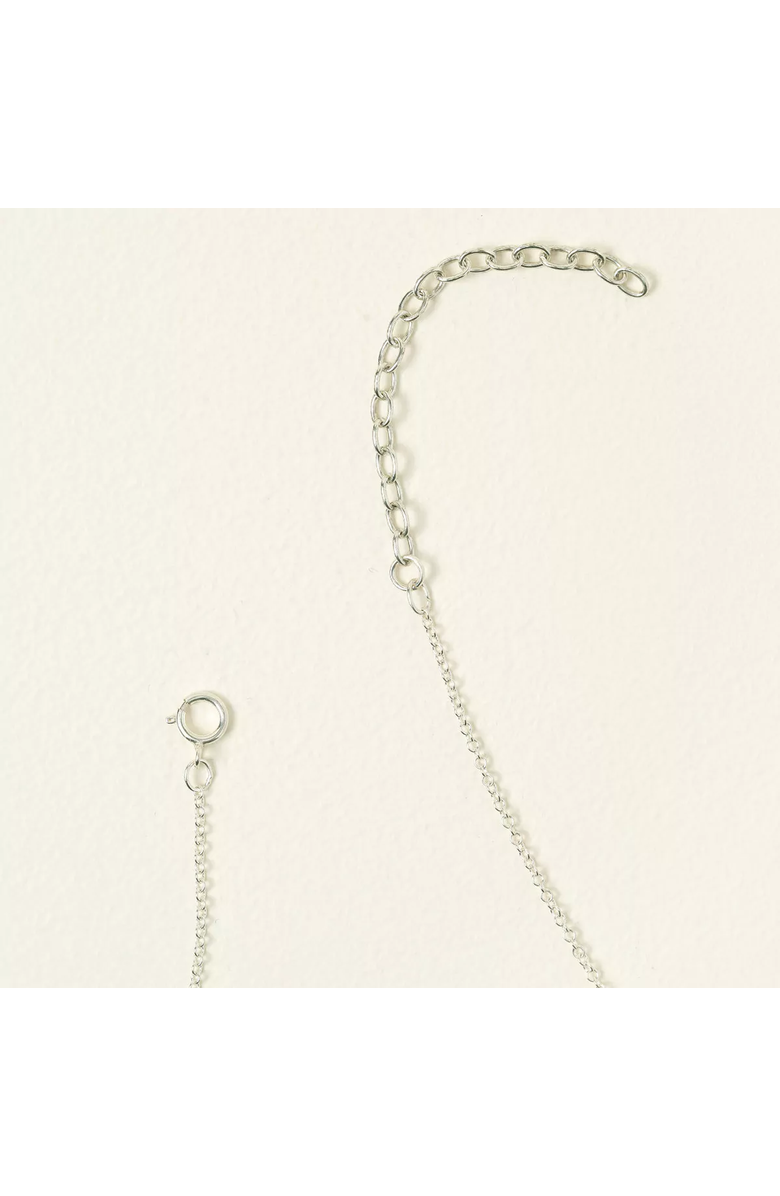 Uncommon Goods Birth Flower Necklace by Shari Dixon, Alternate, color,