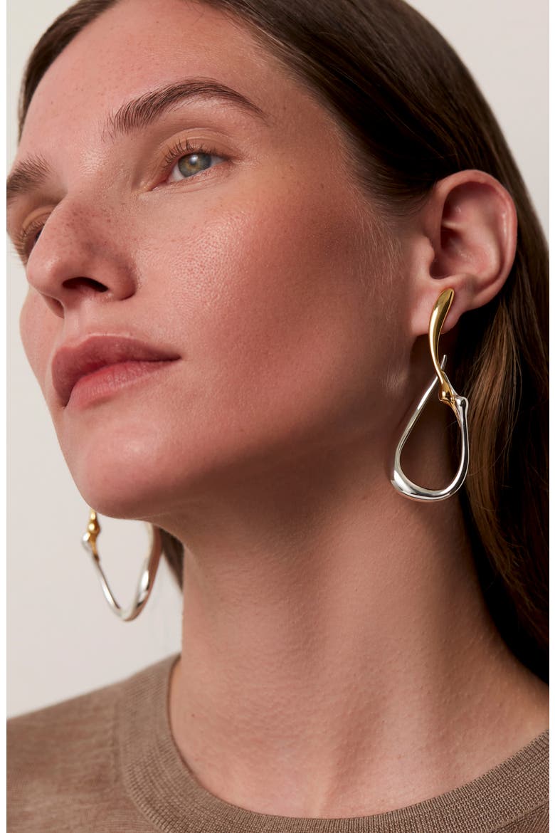 Egret Large Hoop Earrings, Alternate, color, TWO-TONE
