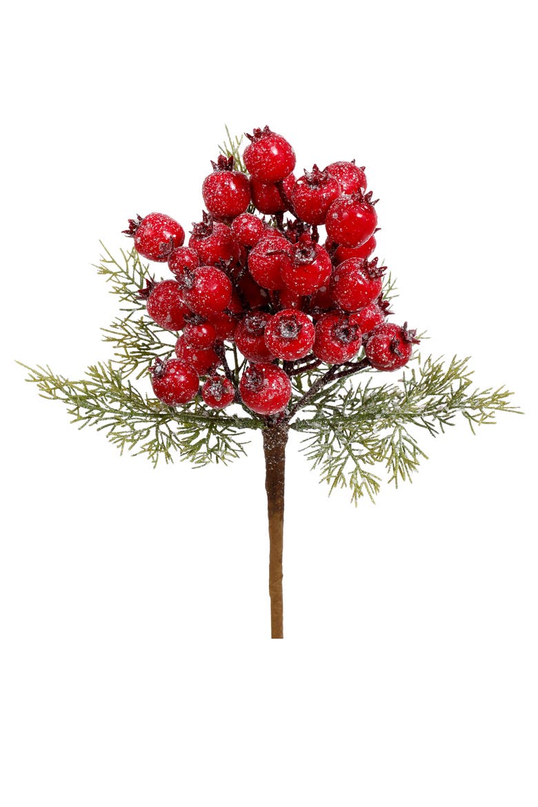 Red Berries Pick, Set of 6, Main, color, Red