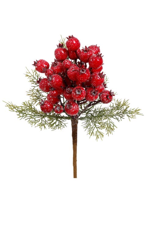 Red Berries Pick, Set of 6
